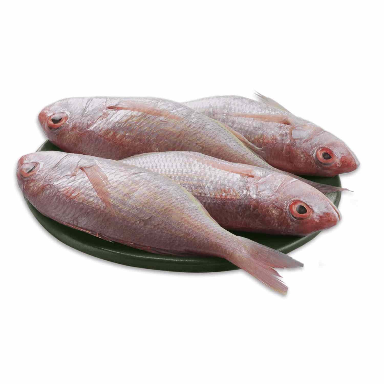 Pink Perch(Rani Bhola) Fish, Whole, Cleaned